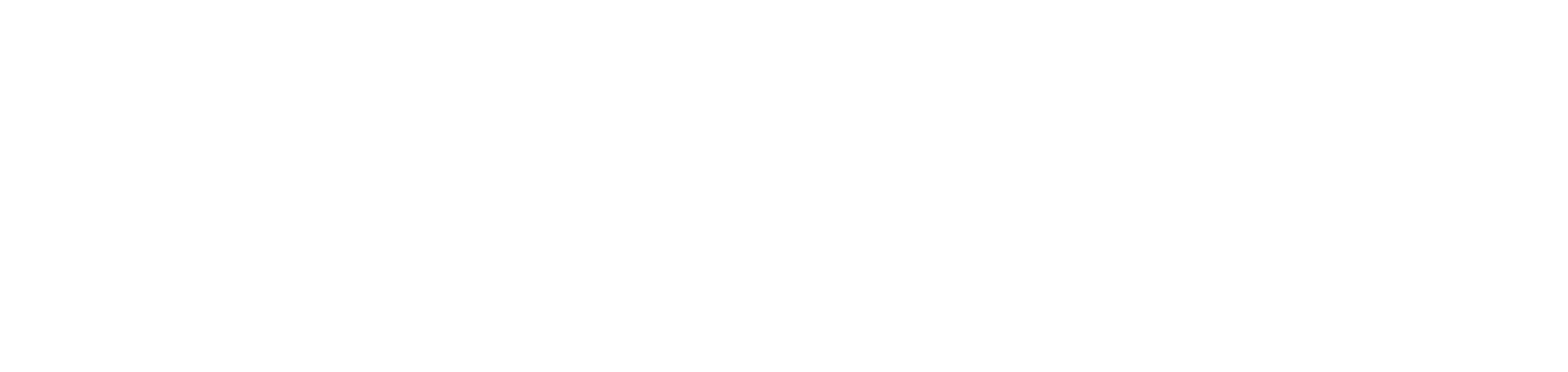 Opção Empreendimentos